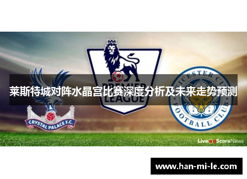 莱斯特城对阵水晶宫比赛深度分析及未来走势预测