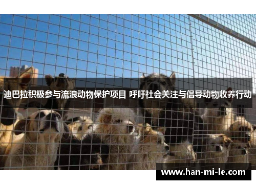 迪巴拉积极参与流浪动物保护项目 呼吁社会关注与倡导动物收养行动