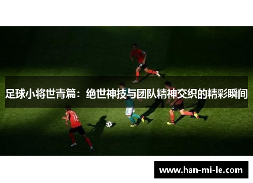 足球小将世青篇：绝世神技与团队精神交织的精彩瞬间