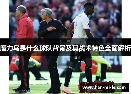 魔力鸟是什么球队背景及其战术特色全面解析