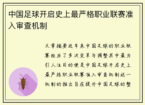 中国足球开启史上最严格职业联赛准入审查机制